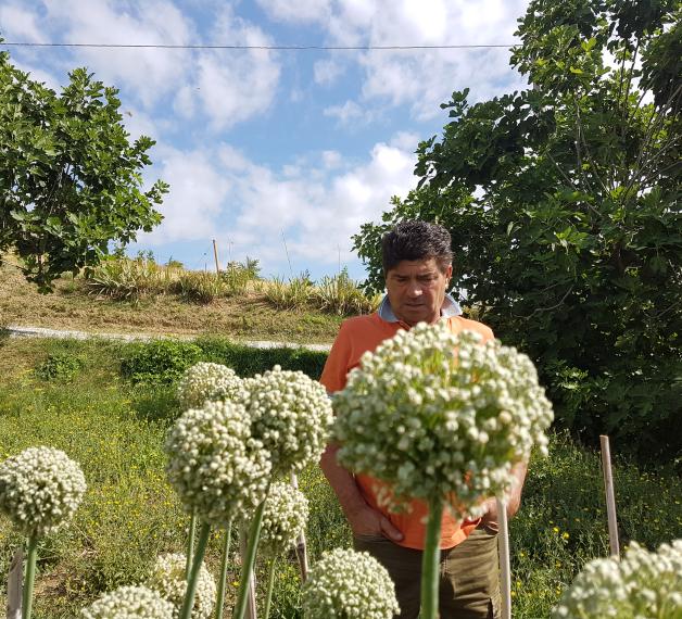 produttore