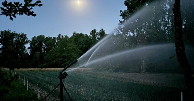 Campo al tramonto
