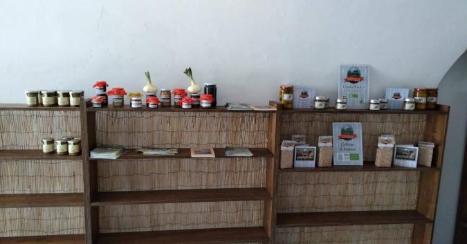 La cipolla bianca piatta di Fara trasformata in deliziosi manicaretti