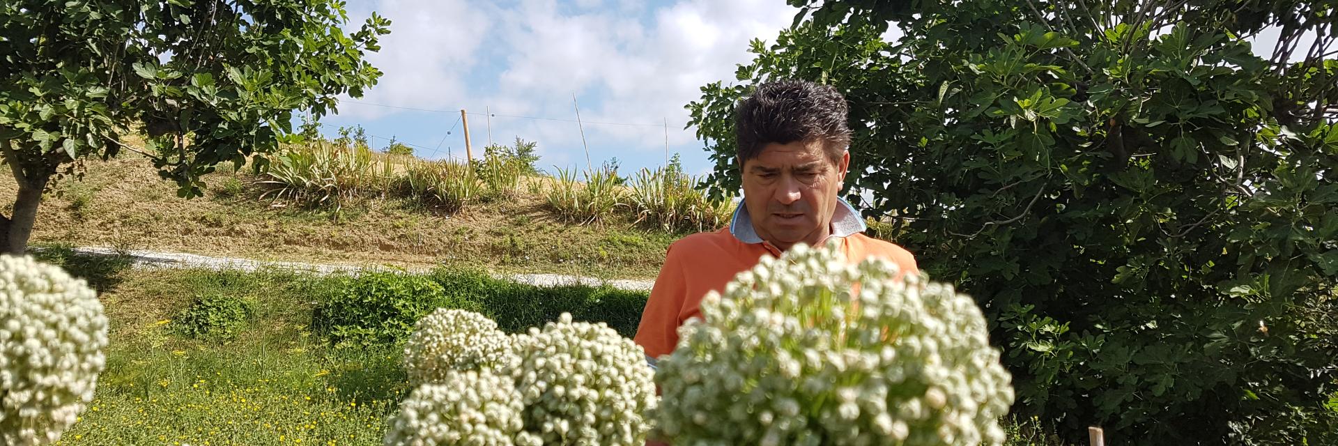produttore